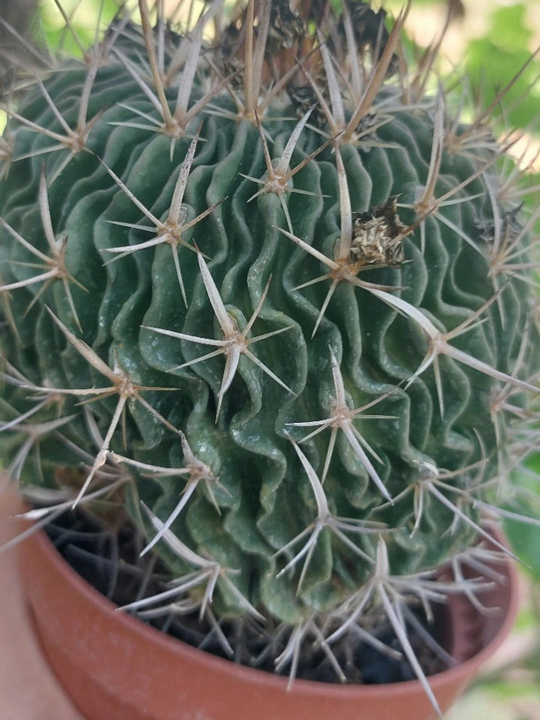 Image 5